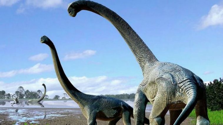Un nouveau dinosaure géant découvert en Afrique