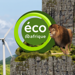 Recrutement de plusieurs profils par Eco Afrique