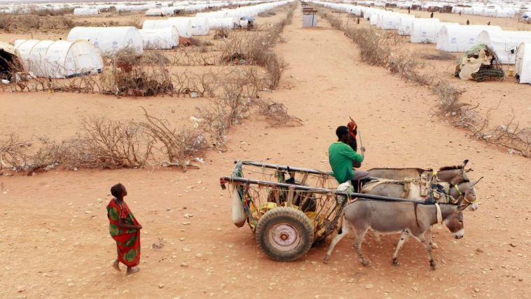 sécheresse dans la Corne de l'Afrique