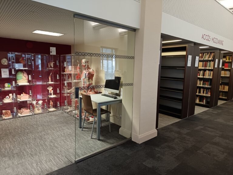 Espace intérieur avec des rayonnages de livres, un poste informatique et des vitrines exposant des modèles anatomiques.