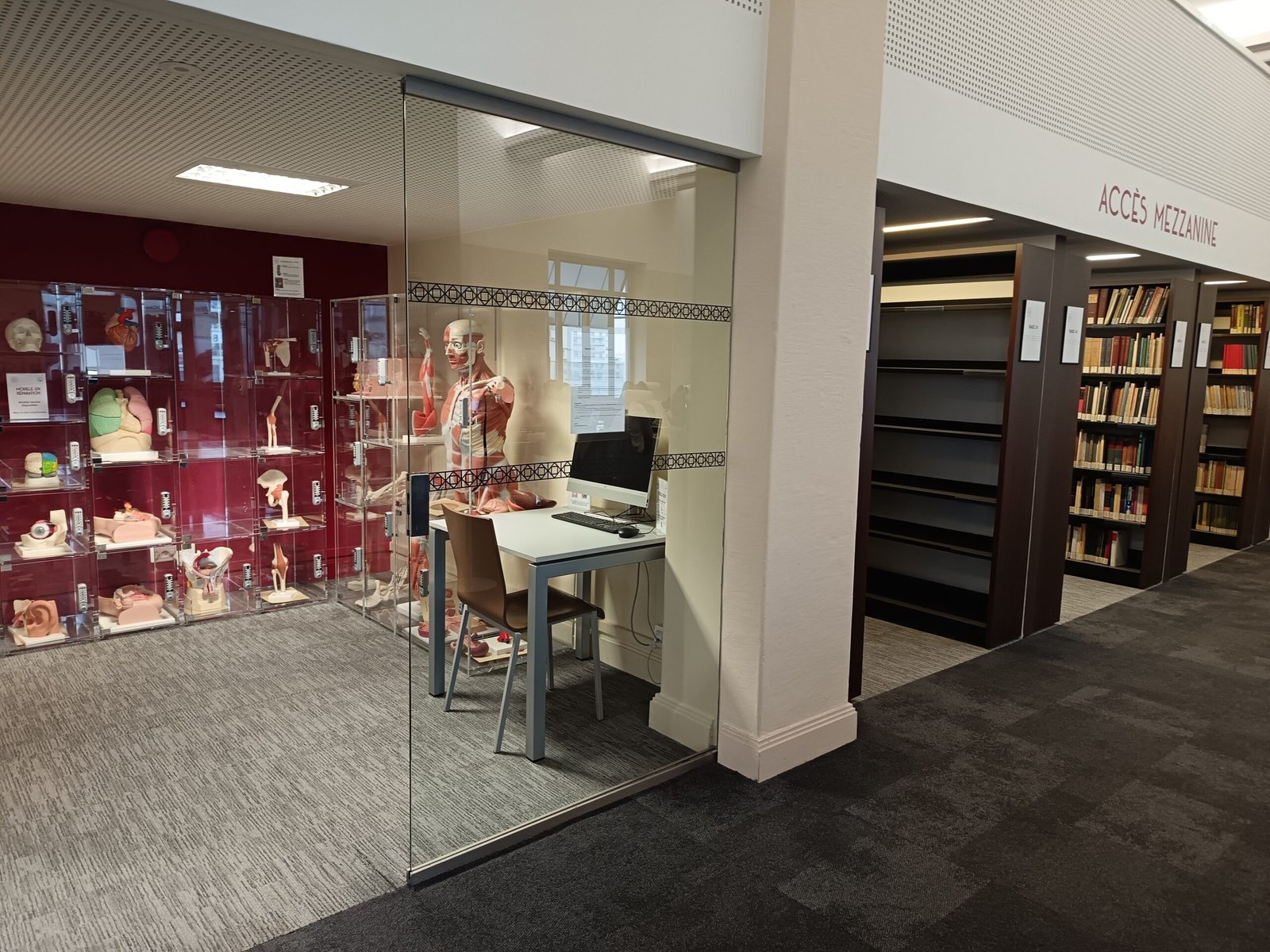 Espace intérieur avec des rayonnages de livres, un poste informatique et des vitrines exposant des modèles anatomiques.